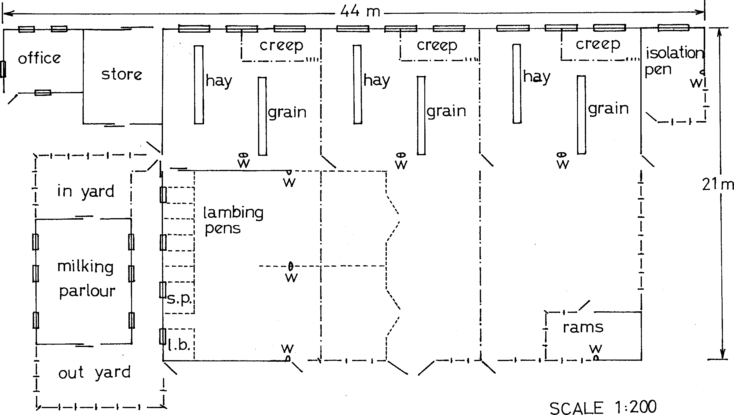 intensive sheep production in the near east