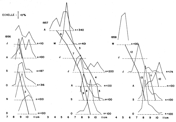 Figure 10.