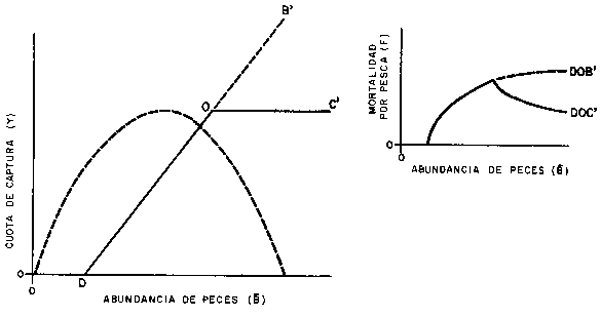 Fig.11