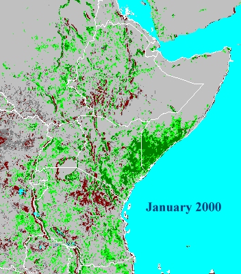 January 2000 (NDVI data)