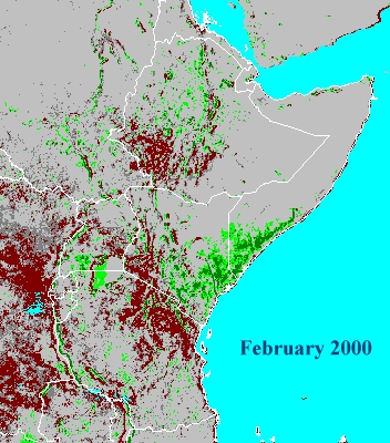 February 2000 (NDVI data)