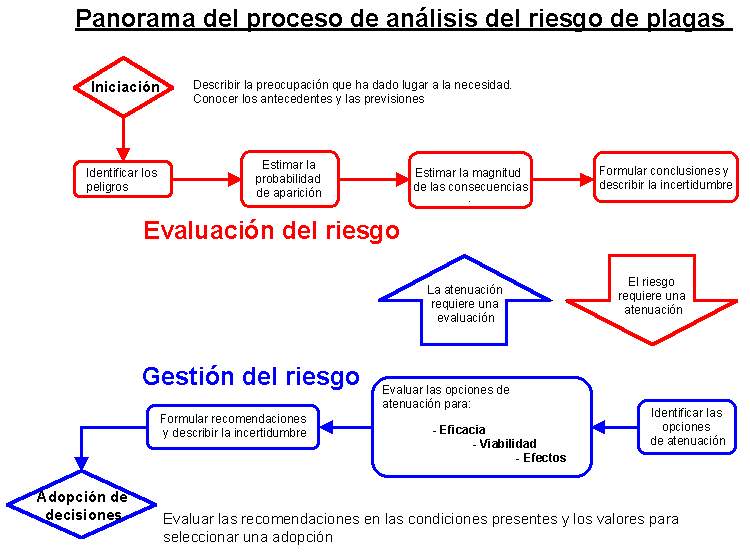 Panorama del proceso de an&aacute;lisis del riesgo de plagas 