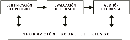 Figura 1: Los cuatro componentes del análisis del riesgo