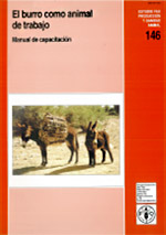 El burro como animal
de trabajo