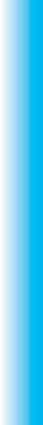 BARVERT1.jpg (8241 byte)