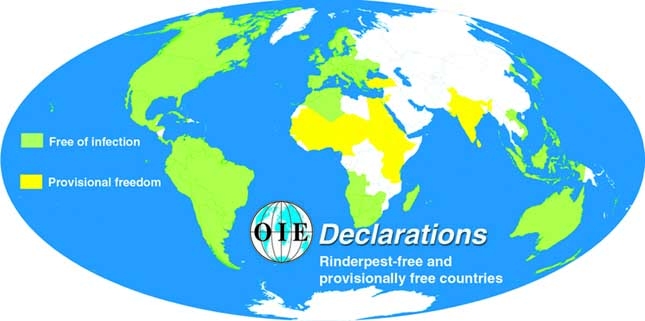 Freedom from Rinderpest