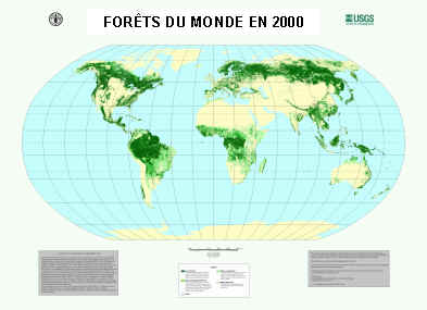 wpe1.jpg (12961 bytes)