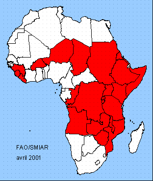 Afrique