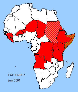 Afrique