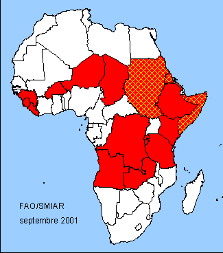 Afrique