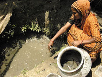 Participante mostrando sus peces y el hueco  donde los cria