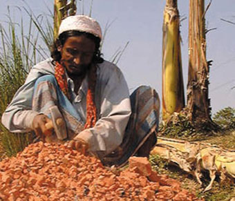 Las Alternativas de la cria de bagres: rotura de ladrillos (40 taka/d�a).