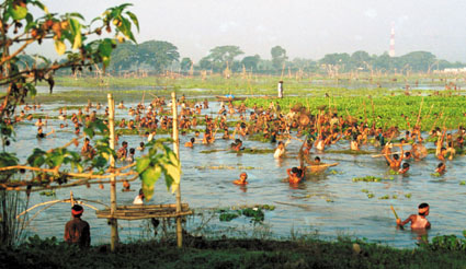 Gente del distrito de Tangail en Bangladesh, aprovechando la bajada  de la inondaci�n para capturar algunos pescados (1998).