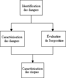Caract�risation des dangers li�s � la pr�sence de pathog�nes dans les aliments et dans l'eau - DIRECTIVES