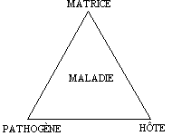 Caract�risation des dangers li�s � la pr�sence de pathog�nes dans les aliments et dans l'eau - DIRECTIVES