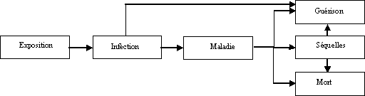 Caract�risation des dangers li�s � la pr�sence de pathog�nes dans les aliments et dans l'eau - DIRECTIVES
