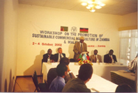 The Honorable Minister addressing the workshop at the opening