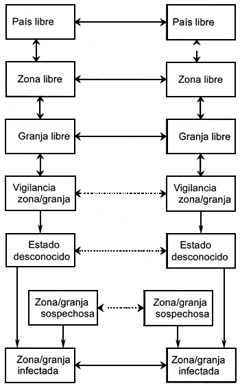 Figura 3