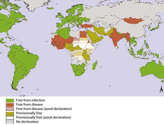 Accreditation of rinderpest freedom by the OIE pathway as of October 2004