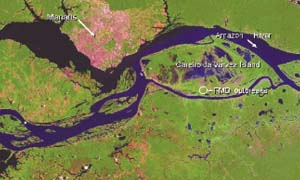Satellite image of the zone where FMD virus C outbreaks were detected, Brazil