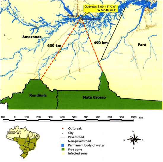 Location of the outbreak in relation to the FMD-free zone with vaccination