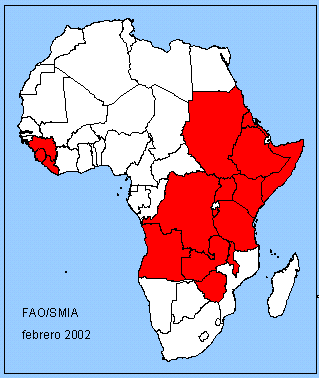Africa Map