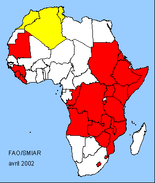 Afrique