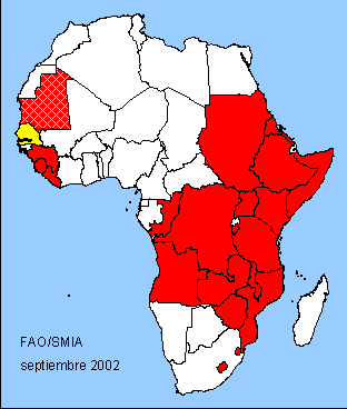 Africa Map