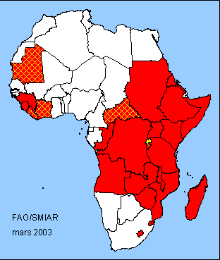 Africa Map