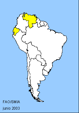South America Map