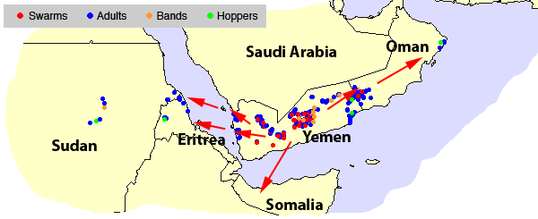 3 September. Swarms move into Yemen highlands and southern Oman