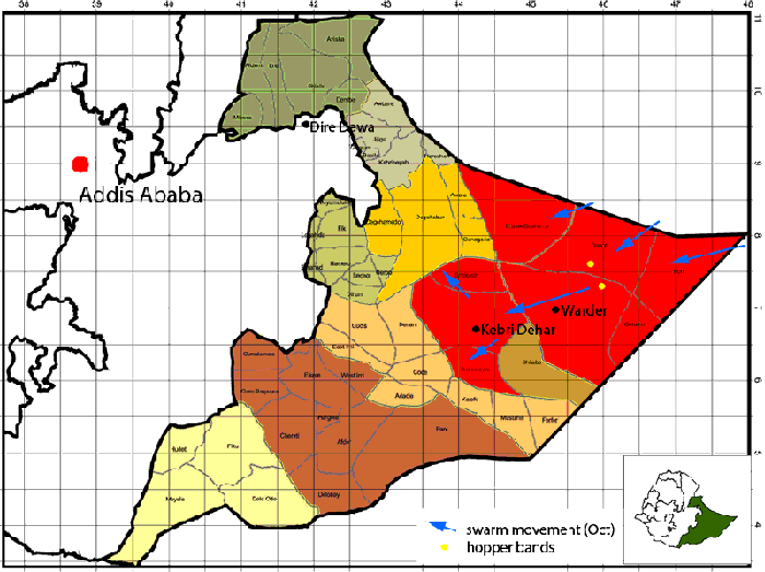30 October. Desert Locust swarms and breeding in Ethiopia&#039;s Ogaden