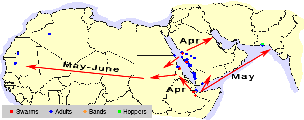 10 May. Control operations underway in Saudi Arabia, Ethiopia, Sudan and India