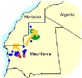 4 janvier 2001. Début de déplacement des criquets vers le nord en Mauritanie