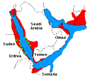 5 décembre. Reproduction en cours sur les côtes de l’Érythrée et du Soudan