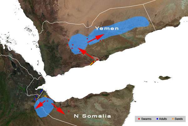 20 April. Desert Locust swarms increase in Yemen and N Somalia