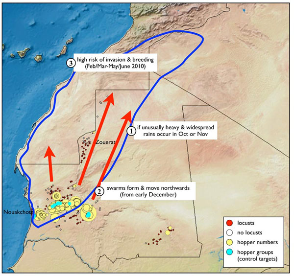 2 November. Control operations in progress in Mauritania outbreak
