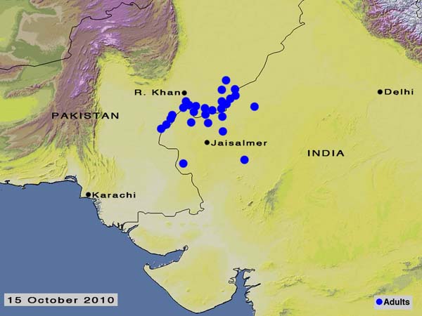 15 octobre. Opérations de lutte en cours le long de la frontière indo-pakistanaise