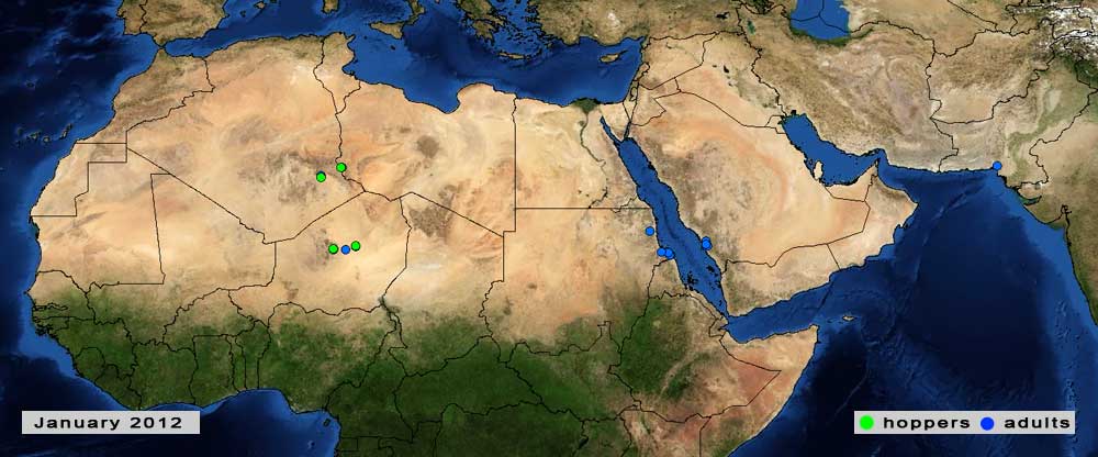 2 February. Situation remains calm but close monitoring is required in Libya, Algeria and Niger