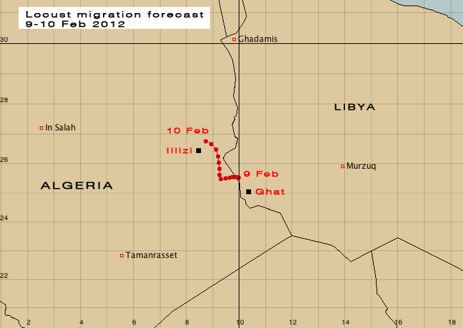 9 février. Résurgence acridienne dans le sud-ouest de la Libye
