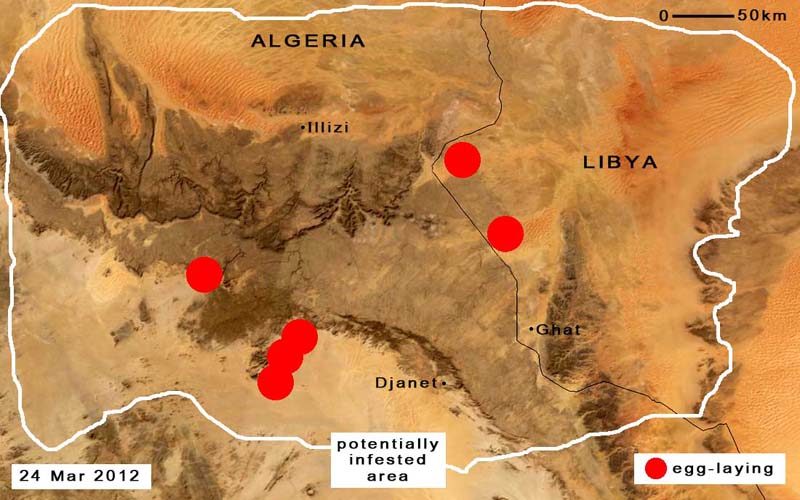 4 avril. Éclosions imminentes en Libye et en Algérie