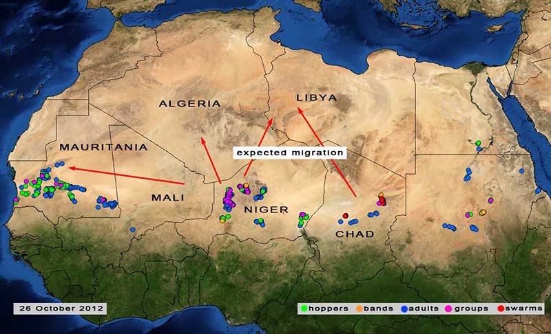 26 octobre. Opérations de lutte en cours au Niger et au Tchad