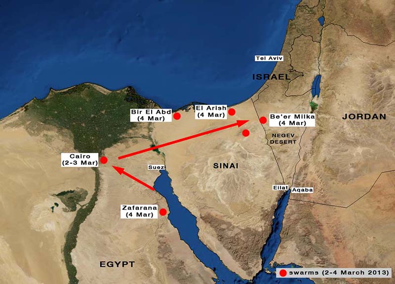 5 mars. Déplacement des essaims de Criquet pèlerin vers le Sinaï et Israël