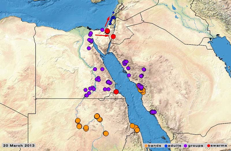 20 mars. Début d’éclosions généralisées dans la vallée du Nil, au Soudan