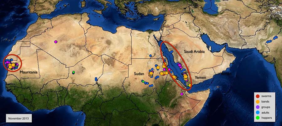 3 décembre. Situation menaçante le long de la côte de la mer Rouge et en Mauritanie