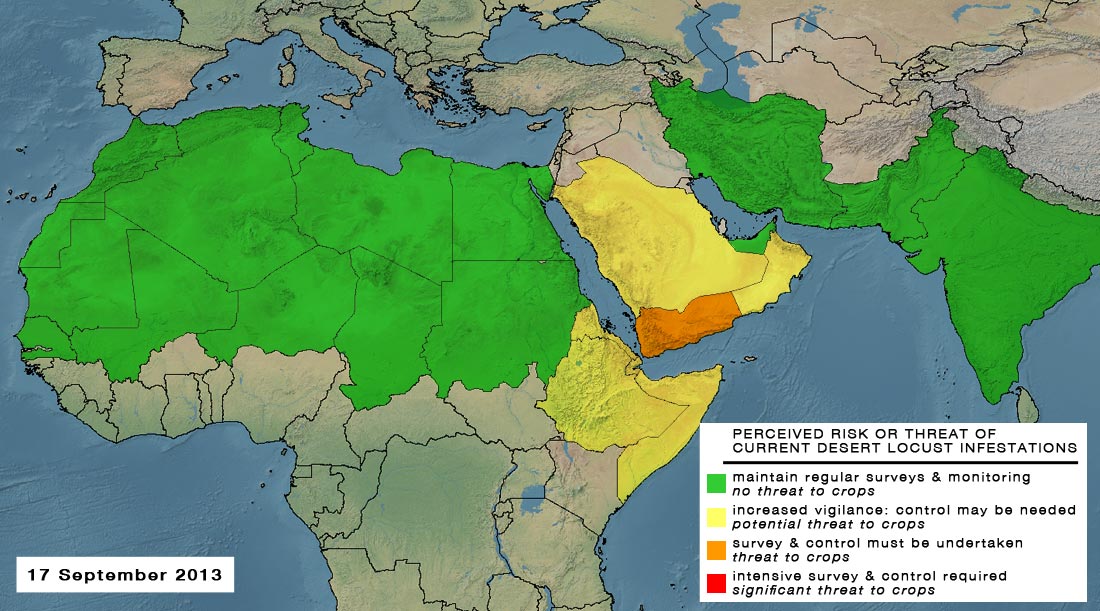 17 septembre. Situation relative au Criquet pèlerin potentiellement dangereuse au Yémen