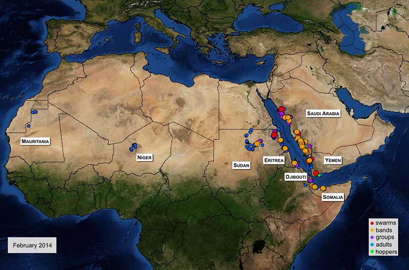 3 March. Outbreaks continue along Red Sea and in Horn of Africa