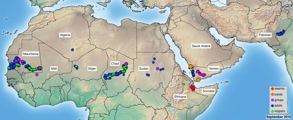 3 October. Situation remains serious in Yemen; outbreak likely in Mauritania