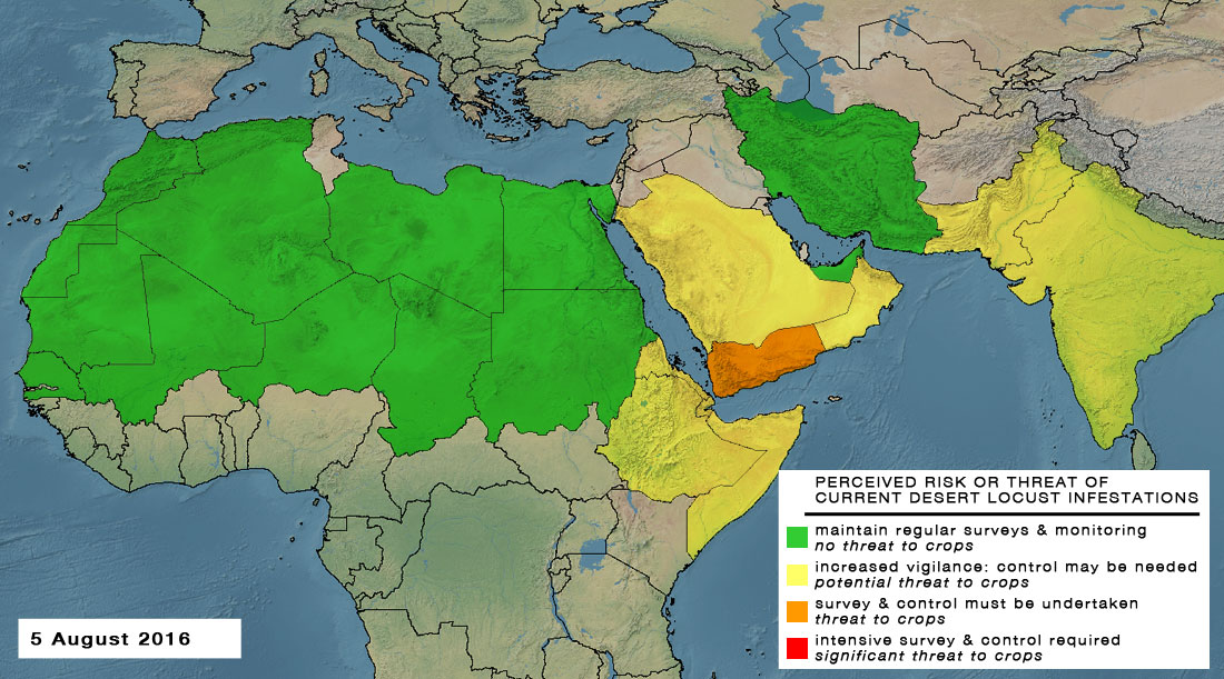 5 août. Augmentation de la menace de risque dans les pays proches du Yémen