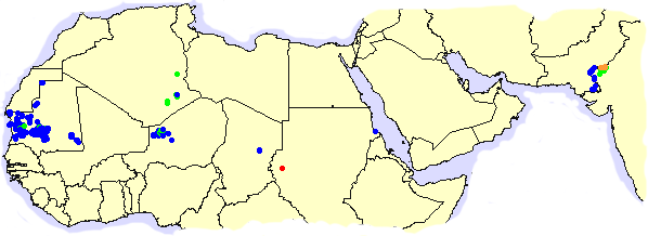 16 November. Small swarm in Darfur; breeding continues in Mauritania